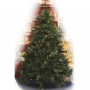 Details-Weihnachtsbaum - New York mit LED