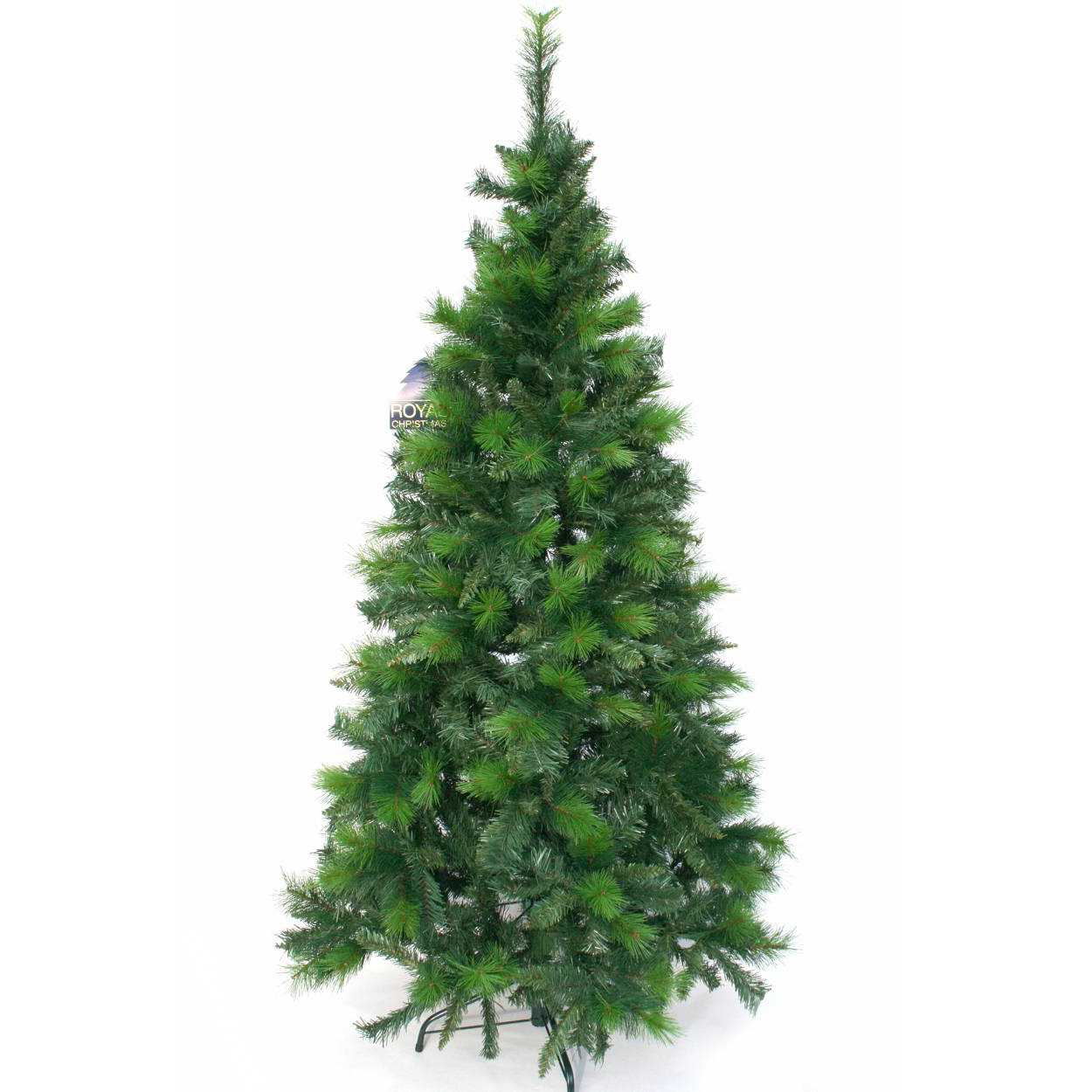 Weihnachtsbaum - Regina - 313 - 79 - 0 - 1